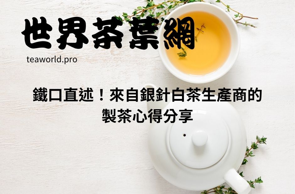 鐵口直述！來自銀針白茶生產商的製茶心得分享
