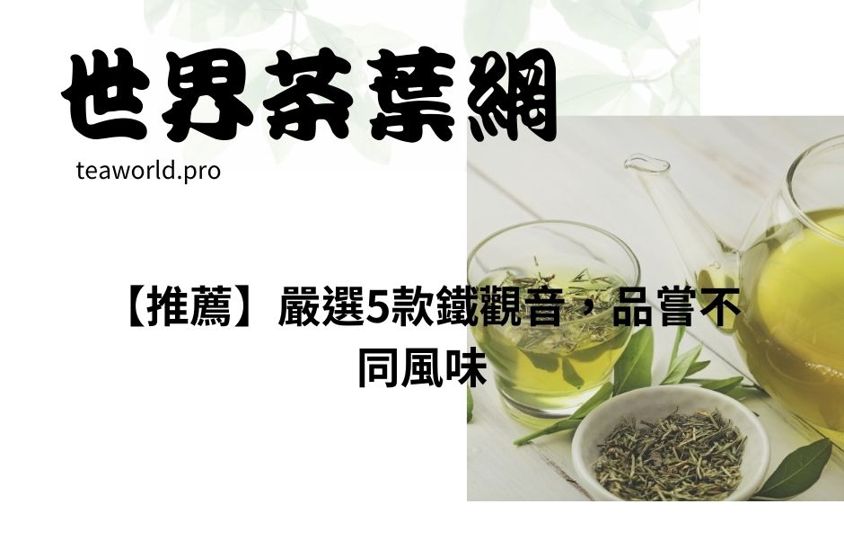 【推薦】嚴選5款鐵觀音，品嘗不同風味