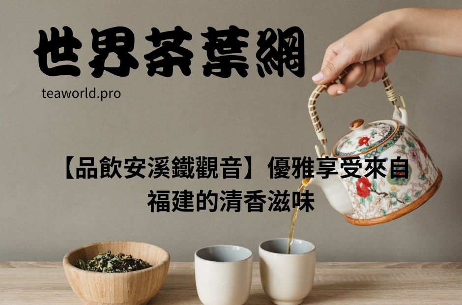 【品飲安溪鐵觀音】優雅享受來自福建的清香滋味