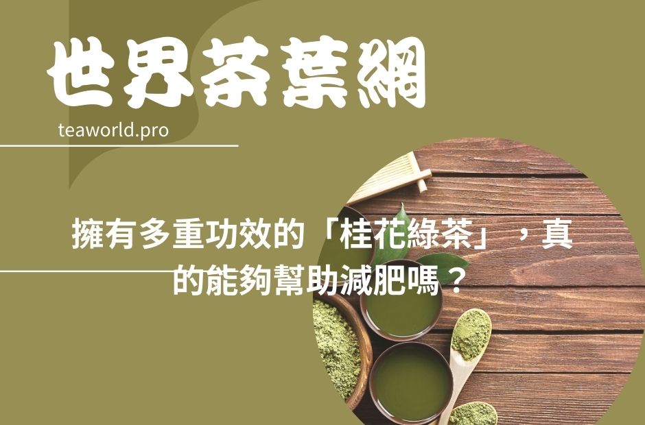 擁有多重功效的「桂花綠茶」，真的能夠幫助減肥嗎？