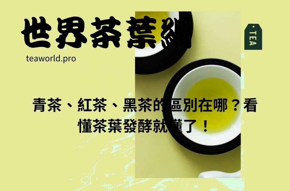 青茶、紅茶、黑茶的區別在哪？看懂茶葉發酵就懂了！